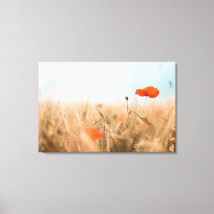 Red Poppies and Gold Barley Canvas Print