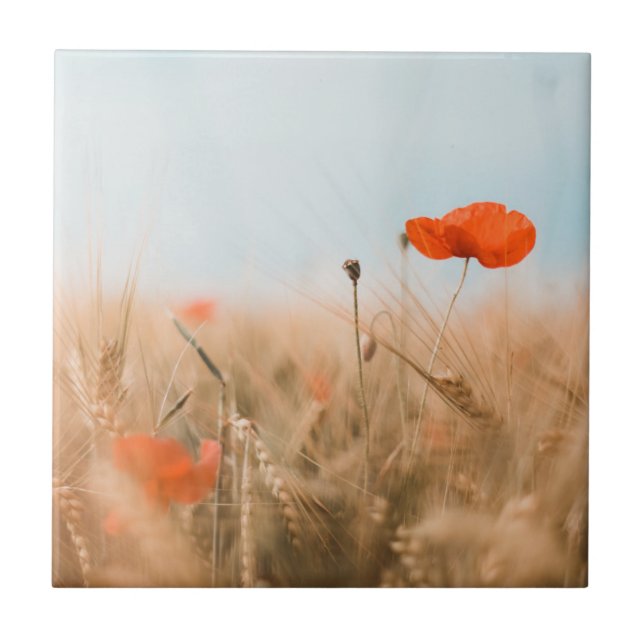 Red Poppies and Gold Barley Tile (Front)