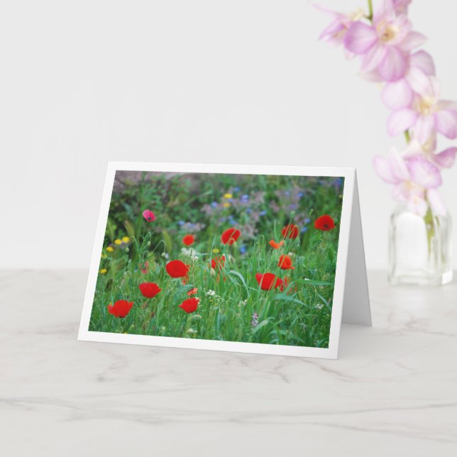 Red Poppies and Wild Flowers Card (Orchid)