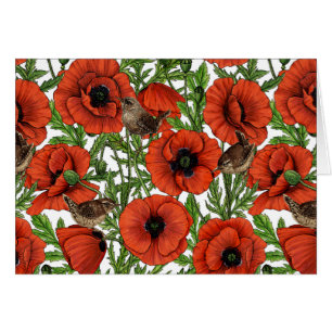 Red poppies and wrens, green leaves on white