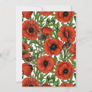 Red poppies and wrens, green leaves on white