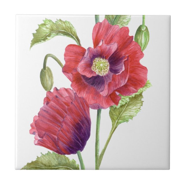 Red Poppies Floral Art Tile (Front)
