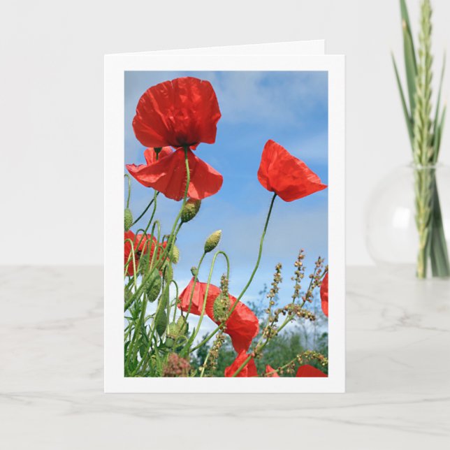 Red Poppies Greeting Card (Front)