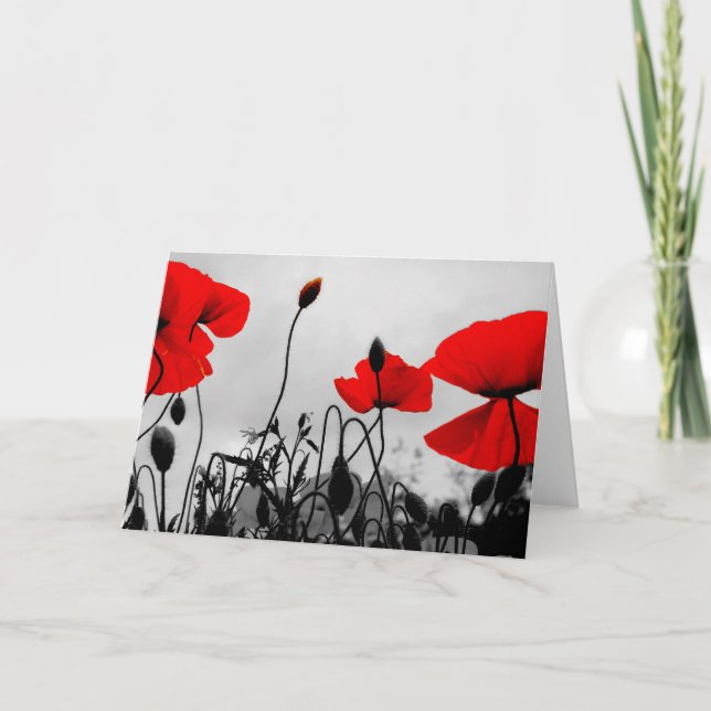 Red Poppies Greeting Card (Front)