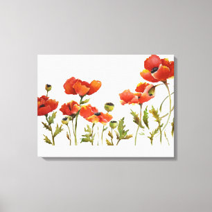 Red Poppies in line watercolor white background Ca Canvas Print