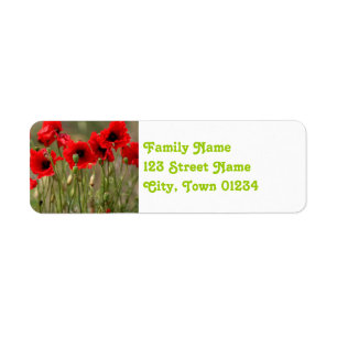 Red Poppies in Poland