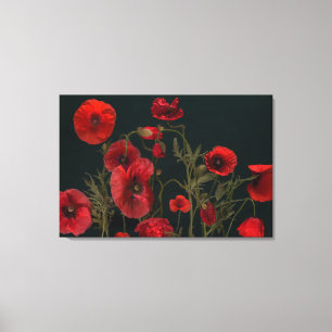 Red Poppies On Black  Canvas Print