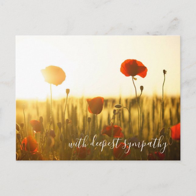 Red Poppies Open Field With Deepest Sympathy Postcard (Front)
