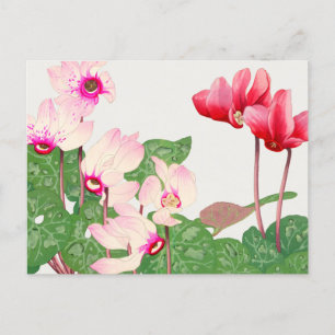 Red poppies  postcard