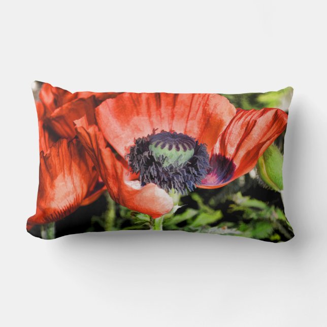 Red Poppies & Stamen Flowers Flora Art Gifts Lumbar Cushion (Front)