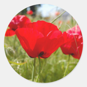 RED POPPIES STICKERS FOR ENVELOPES
