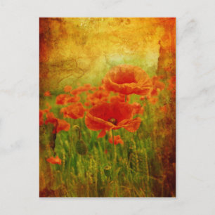 Red poppies vintage postcard