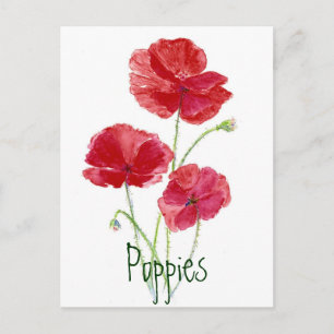 Red Poppies - Watercolor Postcard
