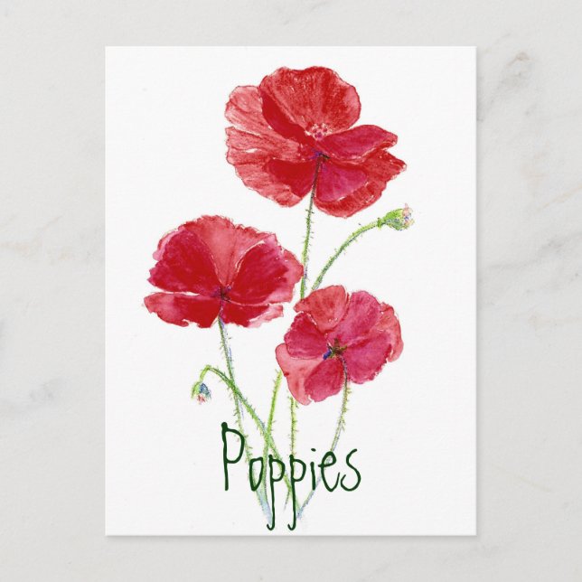 Red Poppies - Watercolor Postcard (Front)