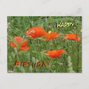 Red Poppies Wild Flowers Happy Birthday Postcard