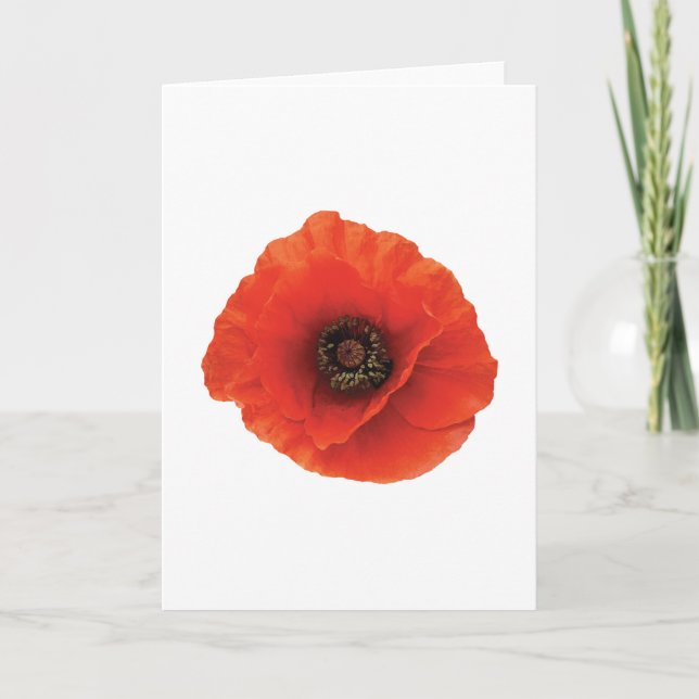 Red Poppy Card (Front)