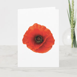 Red Poppy Card