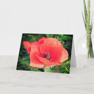 Red poppy card