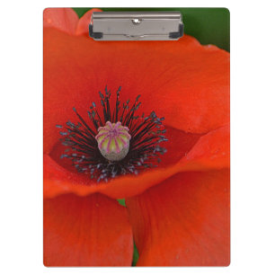 Red Poppy Clipboard