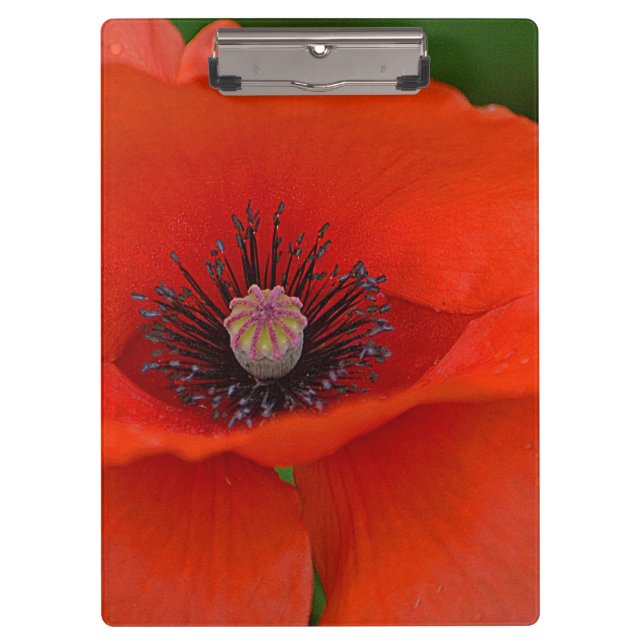 Red Poppy Clipboard (Front)