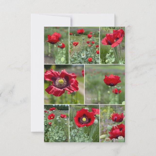 Red Poppy Collage Card (Front)