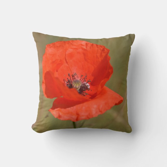 Red Poppy Cushion (Front)