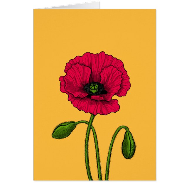 Red poppy drawing (Front)