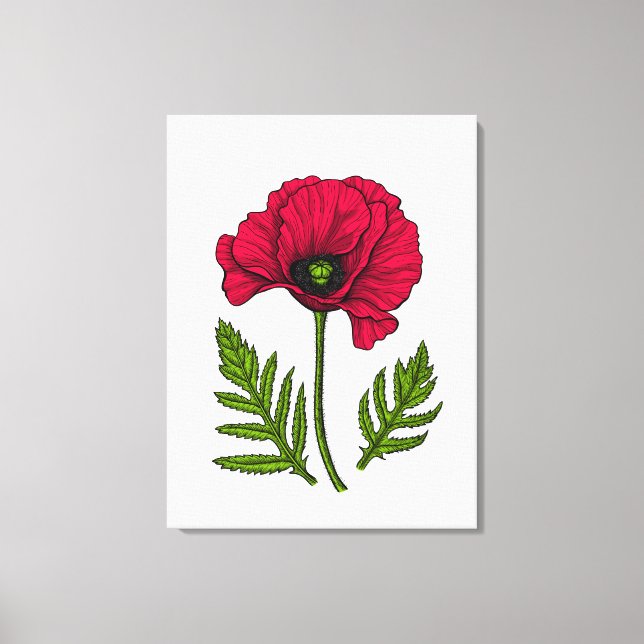 Red poppy drawing 3 canvas print (Front)