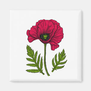 Red poppy drawing 3 magnet