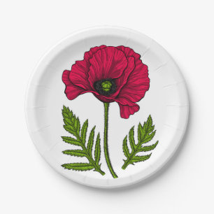 Red poppy drawing 3 paper plate