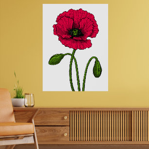 Red poppy drawing poster