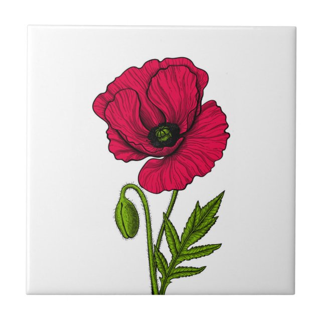 Red poppy drawing tile (Front)