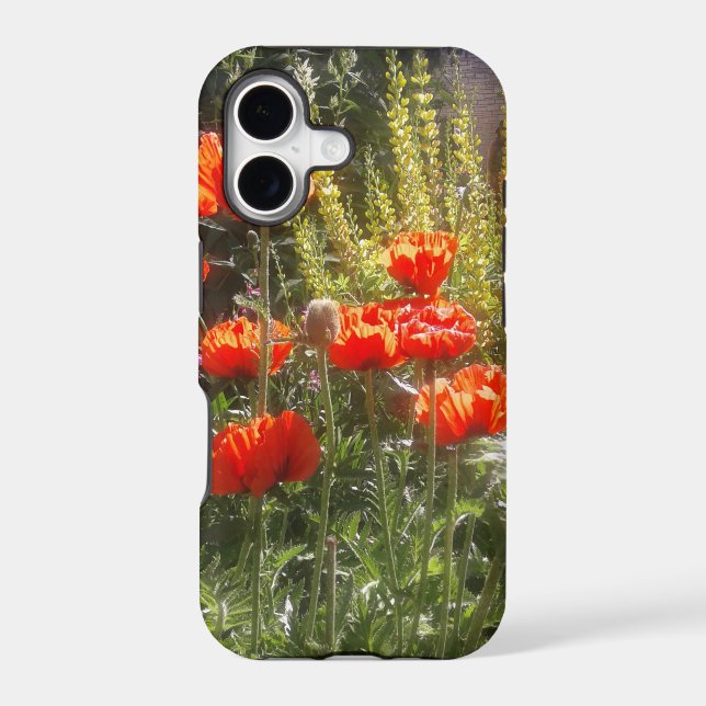 Red Poppy Feilds  (Back)