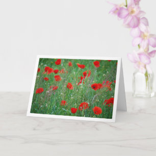 Red Poppy Field Landscape Card