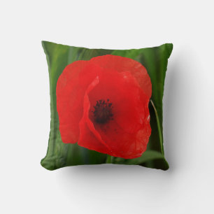 Red Poppy Flower Cushion