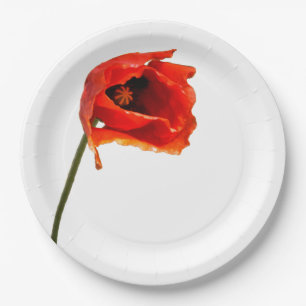 Red poppy flower paper plate