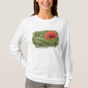 Red poppy flower, Tuscany, Italy T-Shirt