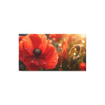Red Poppy Flower with Water Droplets - Floral