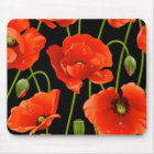 Red Poppy Flowers