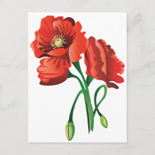 Red Poppy Flowers Postcard