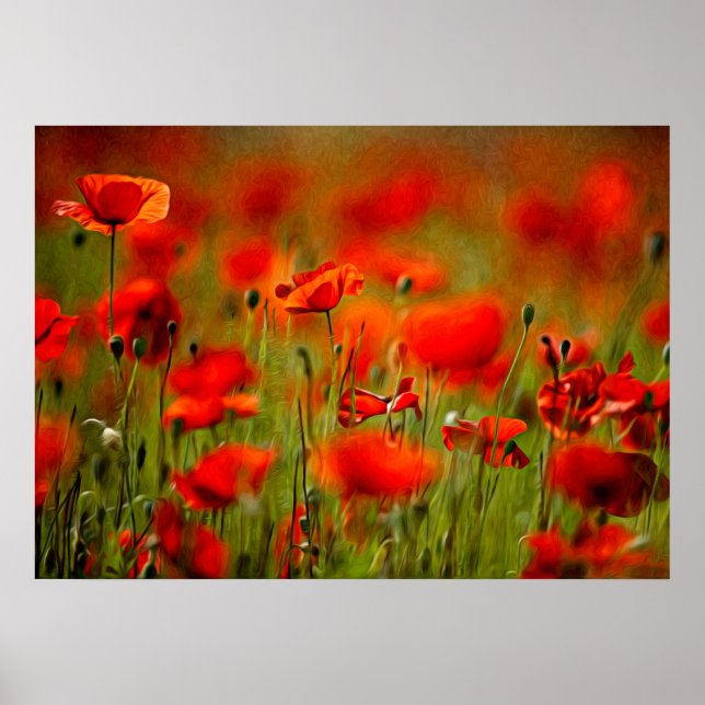 Red Poppy Flowers Poster (Front)