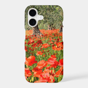 Red poppy flowers under old olive trees