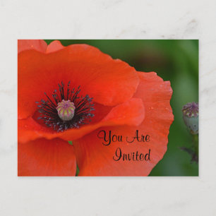 Red Poppy Invitation Postcard
