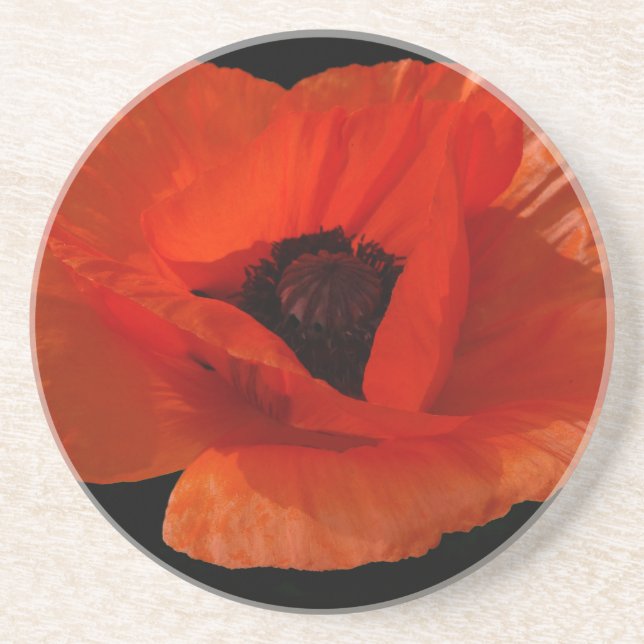 Red Poppy Macro Coaster (Front)