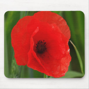 Red poppy mouse pad