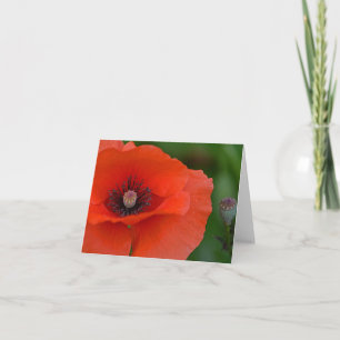 Red Poppy Notecard