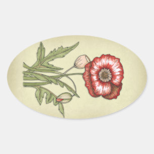 Red Poppy Oval Sticker