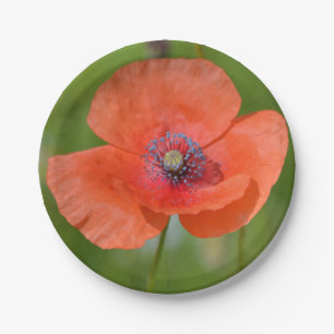 Red Poppy Paper Plate