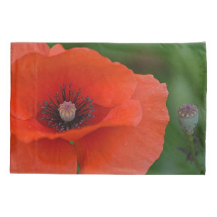 Red Poppy Pillowcase