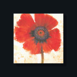 Red Poppy Portrait Canvas Print<br><div class="desc">Red Poppy Portrait I by Tim OToole. Features a single vivid-red poppy against a neutral background.</div>